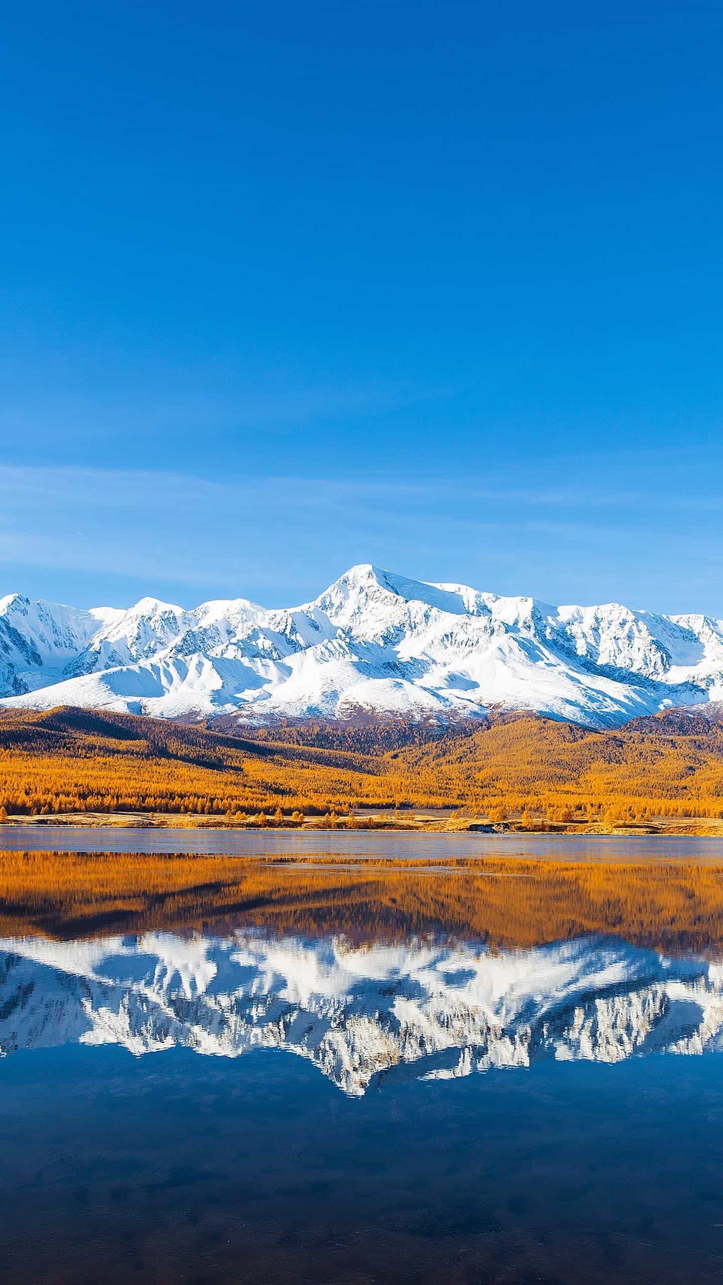 手抖就是帕金森吗，这些情况要警惕 ｜ 77778888精准新疆